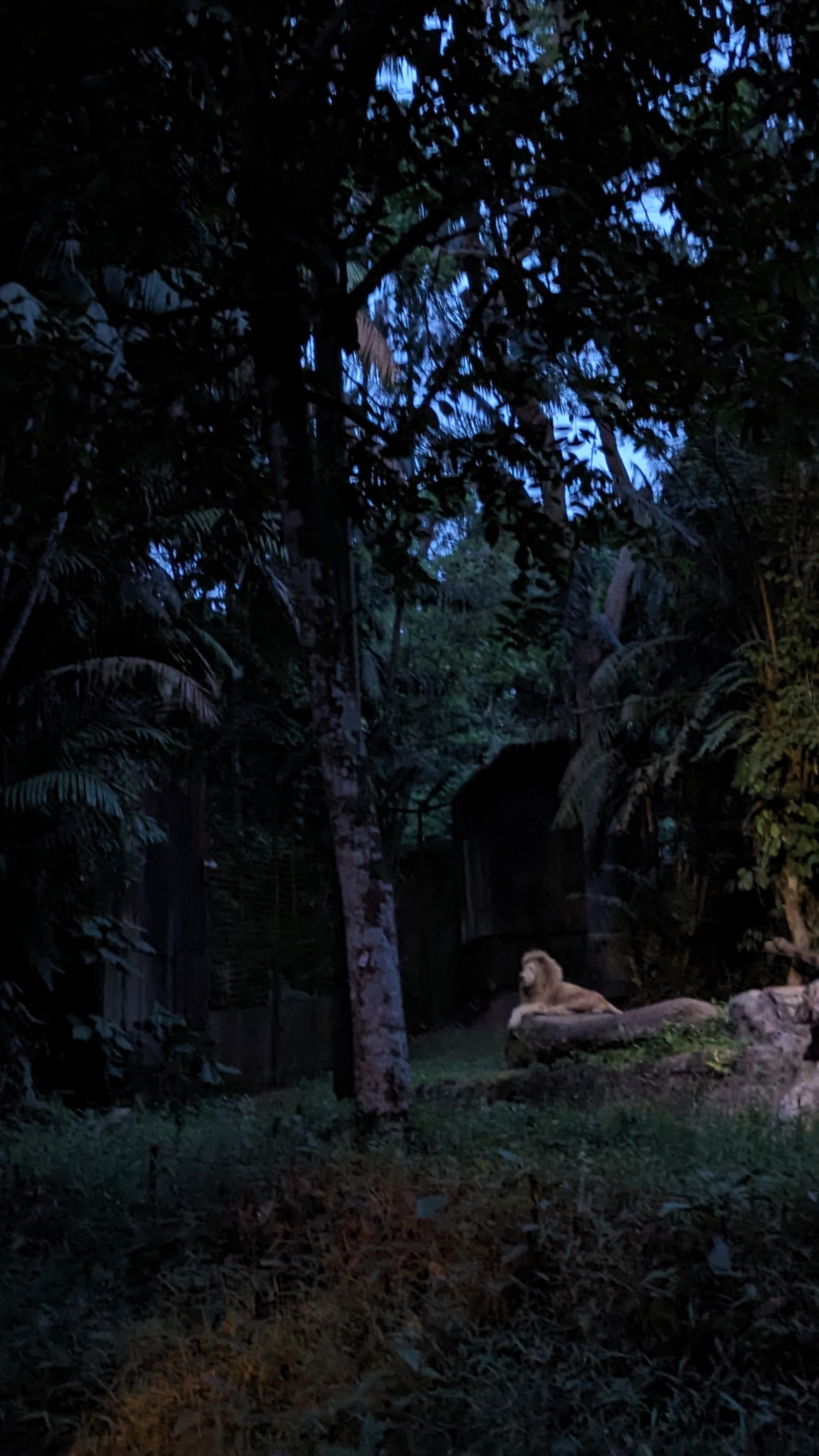 A photo from Sainath's photography
