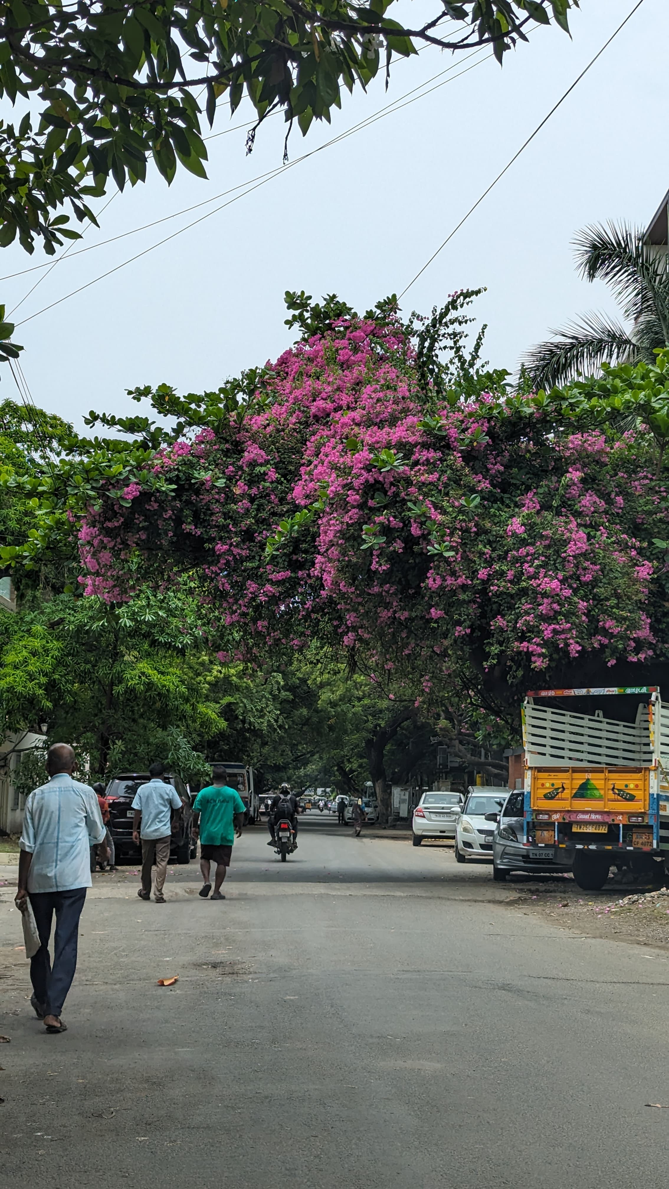 A photo from Sainath's photography