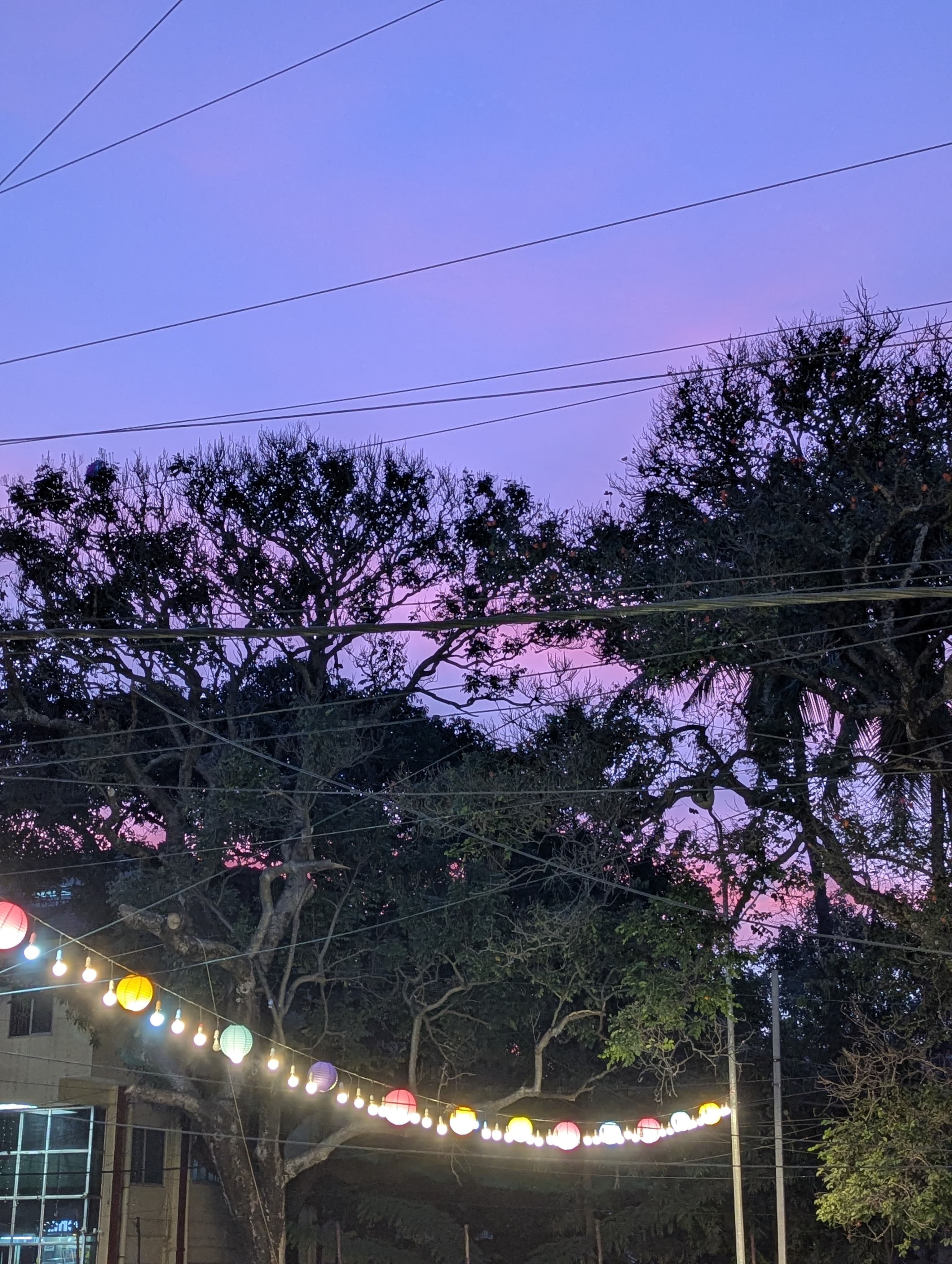 A photo from Sainath's photography