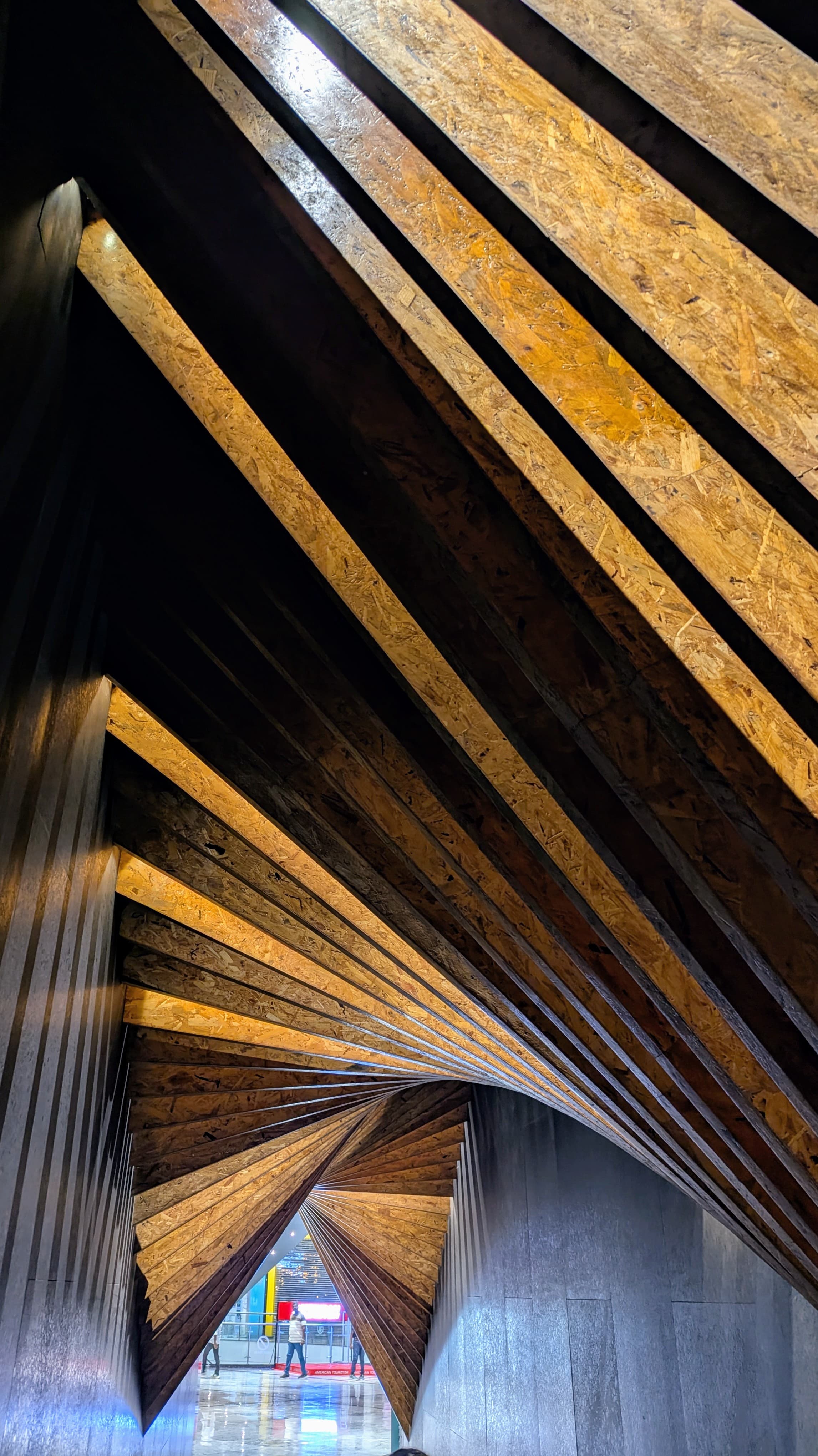 A photo from Sainath's photography