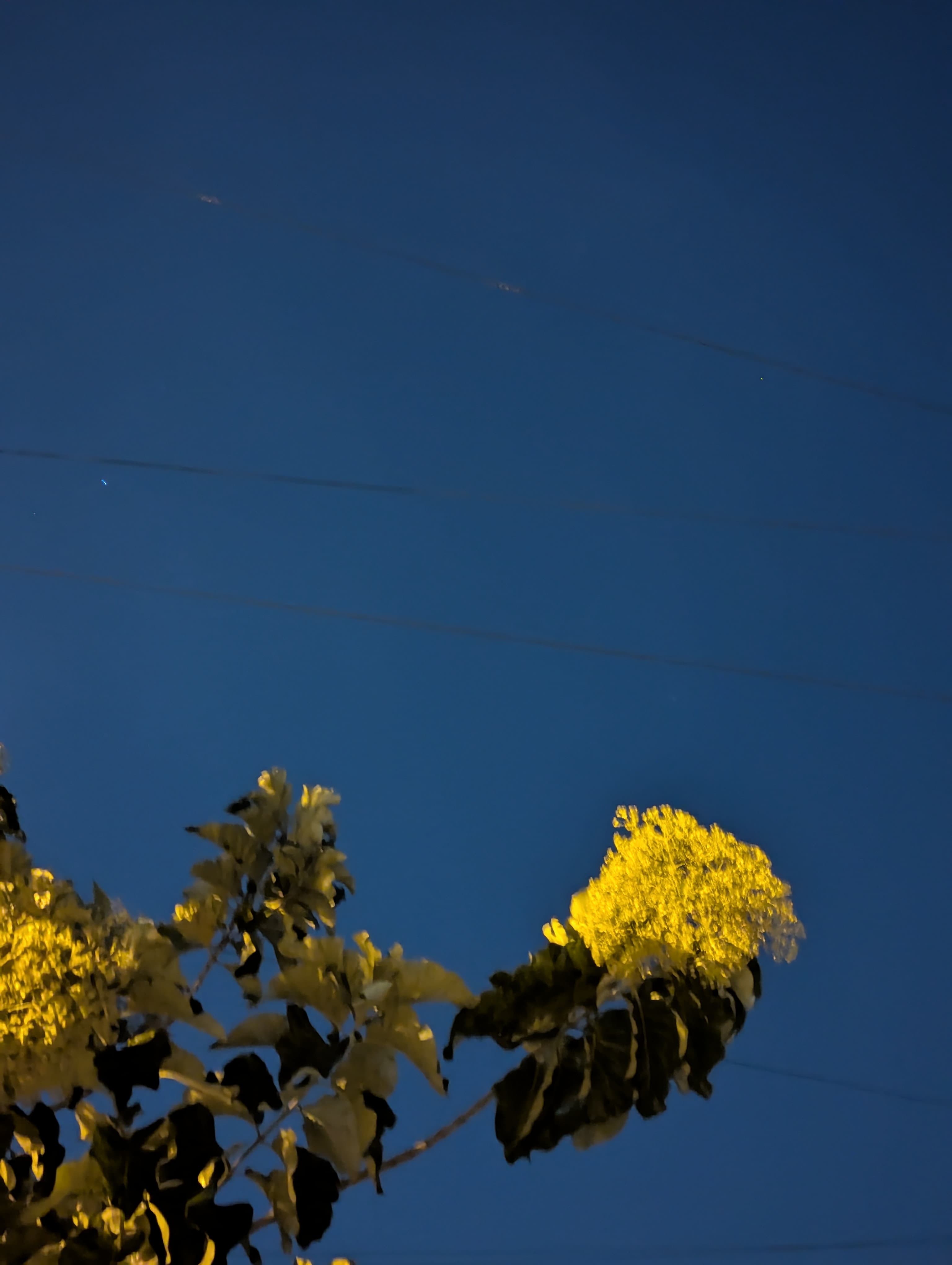 A photo from Sainath's photography